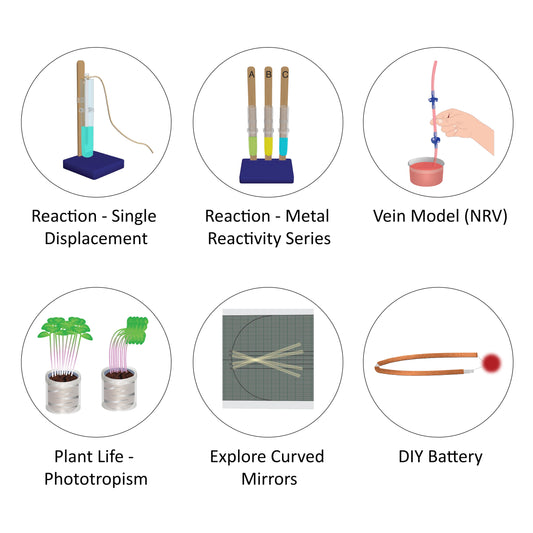 Grade X Annual Science Programme