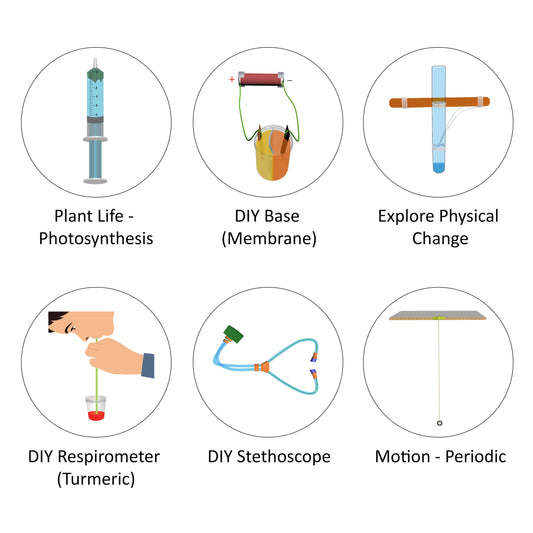 Grade VII Annual Science Programme