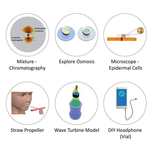 Grade IX Annual Science Programme