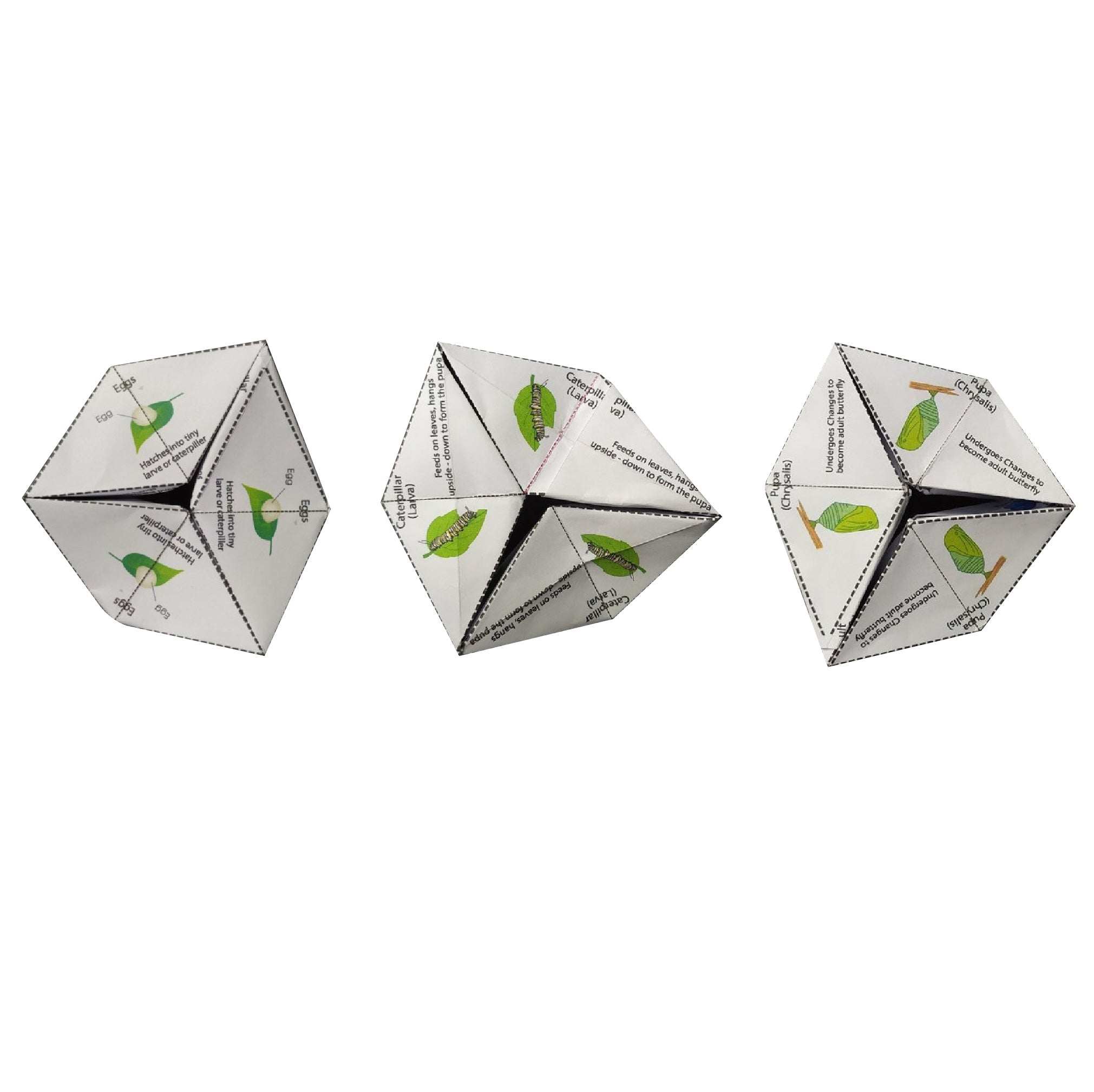 Thinktac Annual Programmes